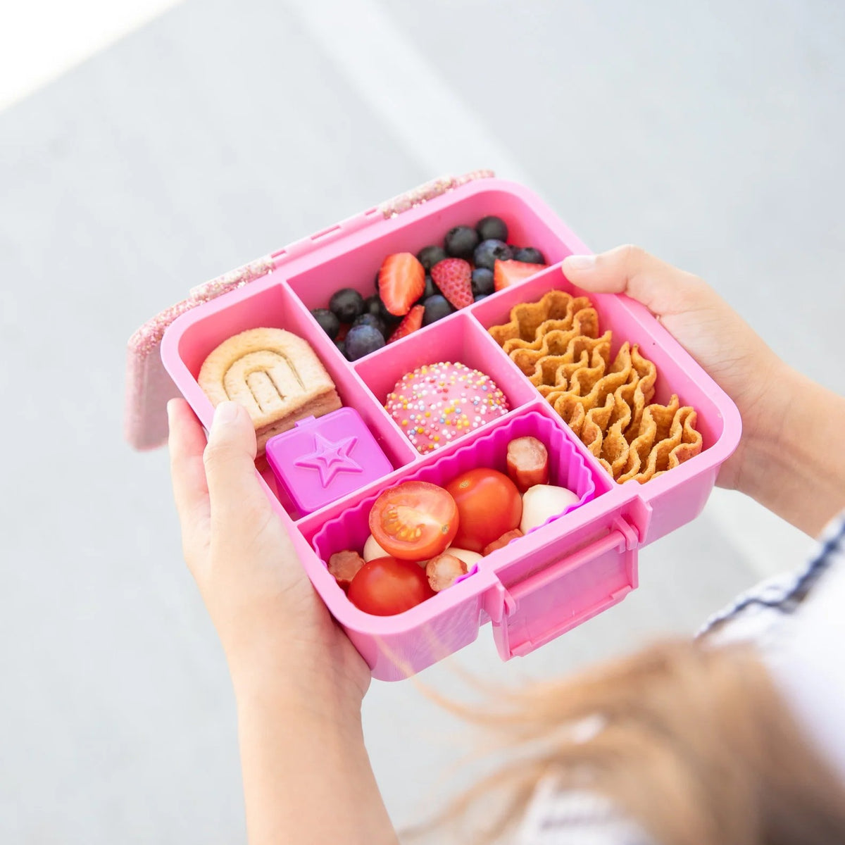 Mixed Bento Cups (Fuchsia)