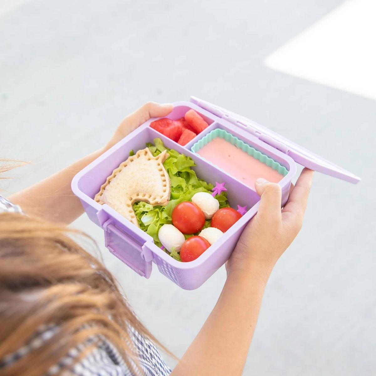 Mixed Bento Cups (Marine)