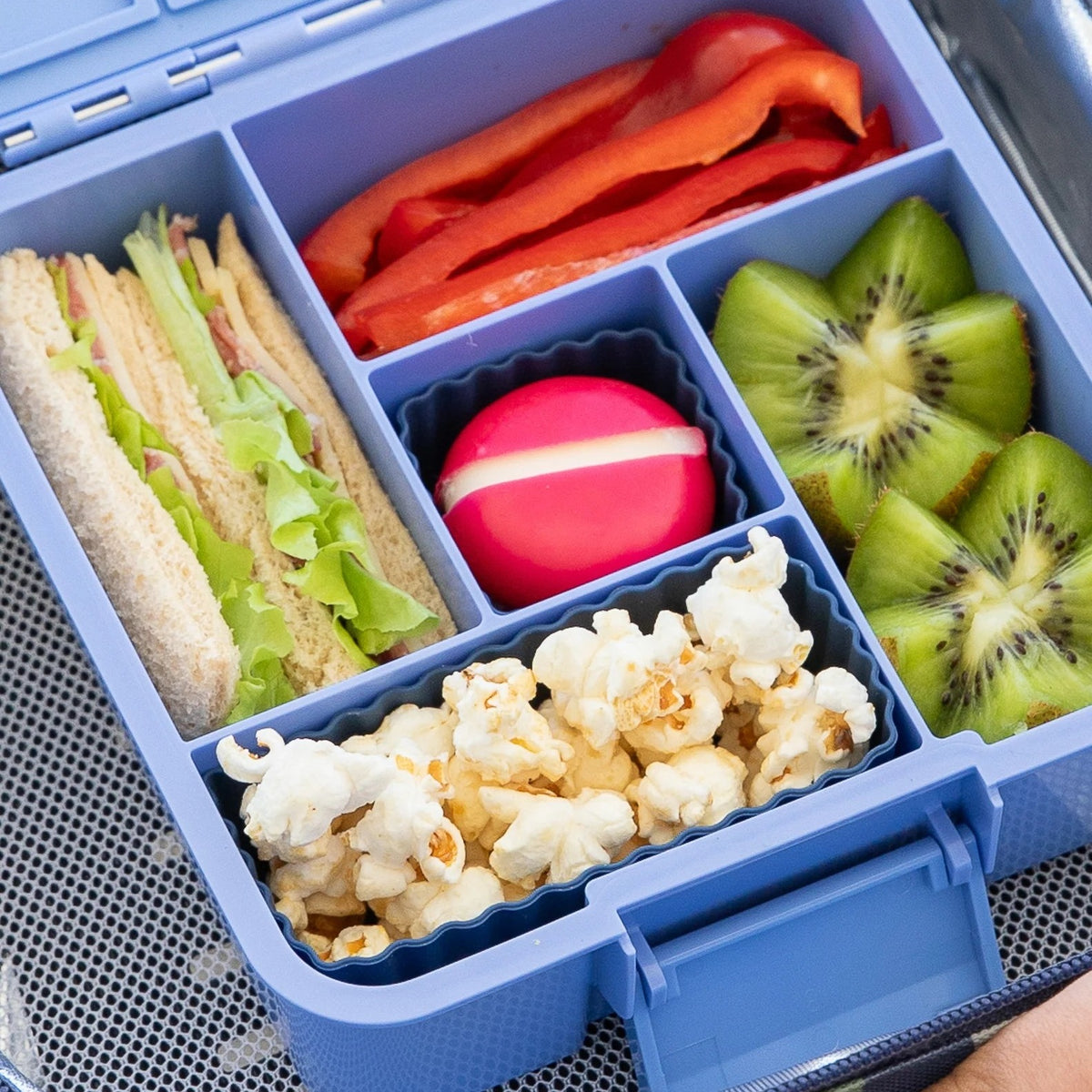 Mixed Bento Cups (Navy)