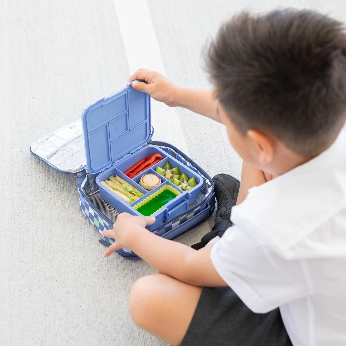 Mixed Bento Cups (Sunbeam)