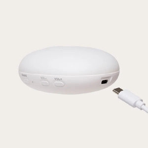 Humming Bunny (Polar)