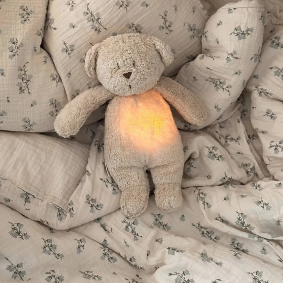 Humming Bear (Cappuccino)