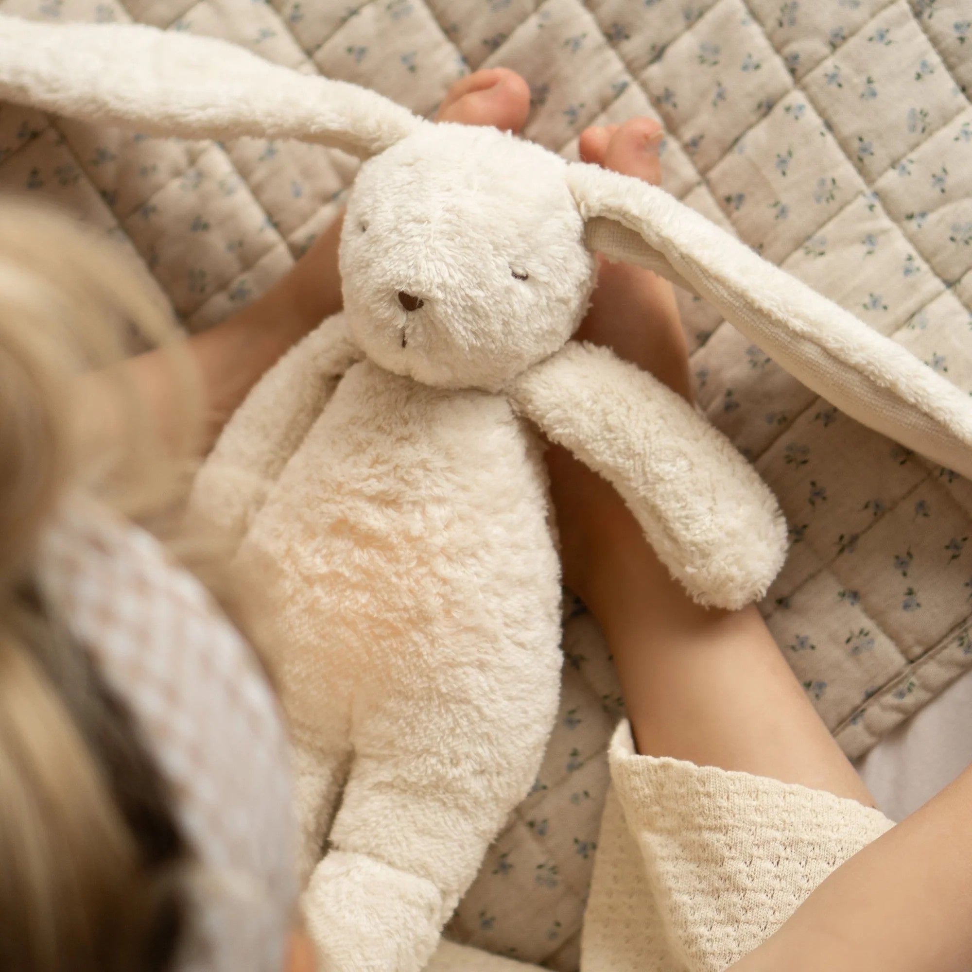 Humming Bunny (Polar)