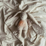 Humming Bunny (Polar)