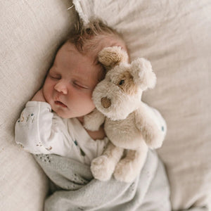 Buddy The Dog Rattle