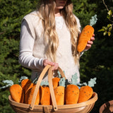 Curtis Carrot - The Caring Friend