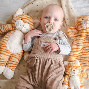 Ginger The Cat Hoochy Coochie