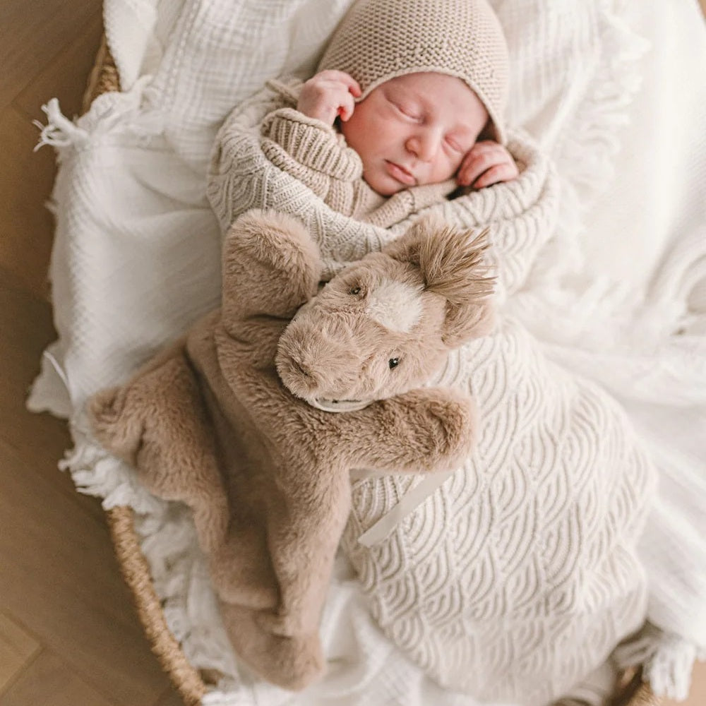 Harvey The Horse Hoochy Coochie