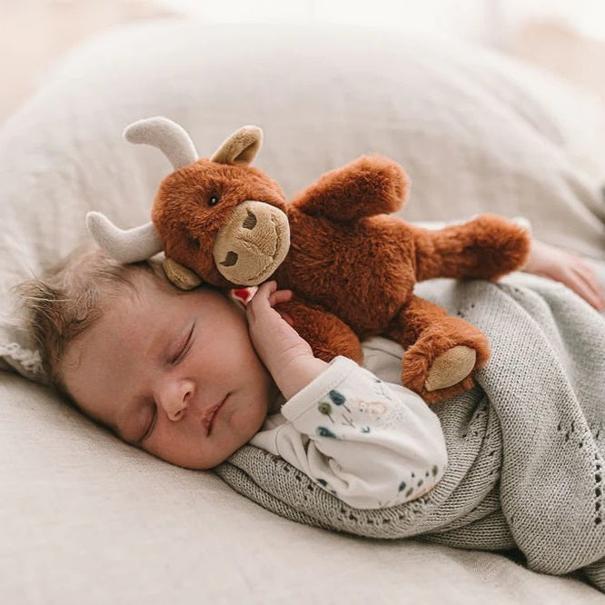 Henry The Highland Cow Rattle - Kawaii Kids