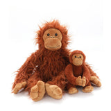 The Orangutans