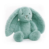 Banjo Bunny Huggie
