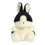 Dutch Bunny 13cm
