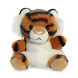 Indy Tiger 13cm
