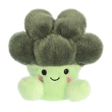 Luigi Broccoli 13cm