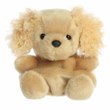 Oatmeal Goldendoodle 13cm
