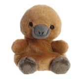 Platypus 13cm
