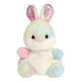 Rainbow Bunny 13cm