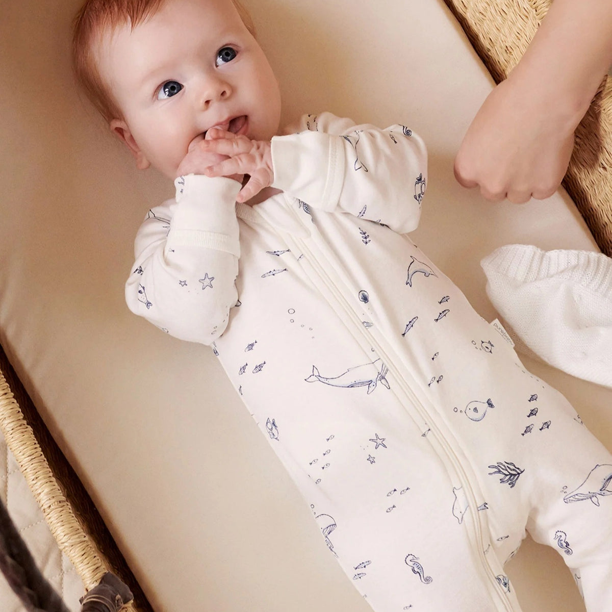 Vanilla Nautical Zip Growsuit