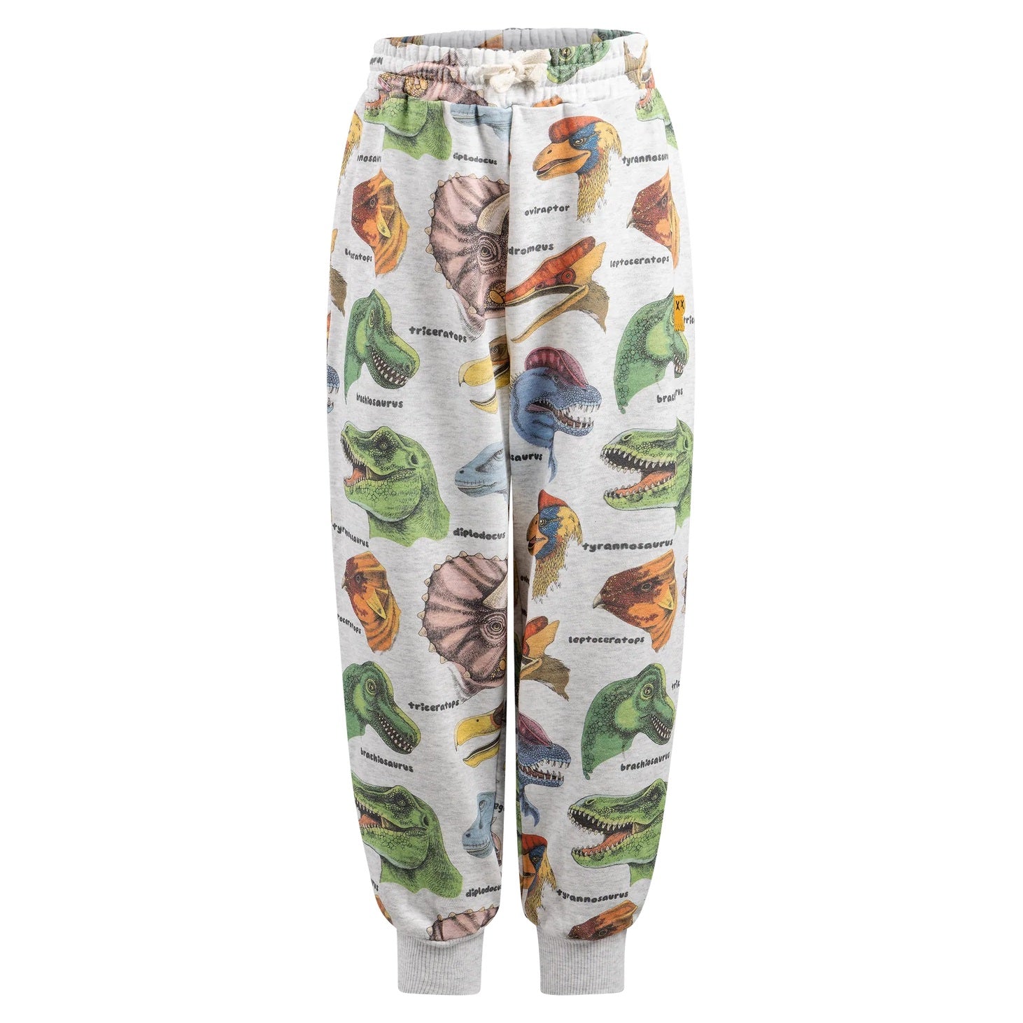 Dino Bright Track Pant