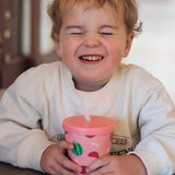 Watermelon Mini Smoothie Cup
