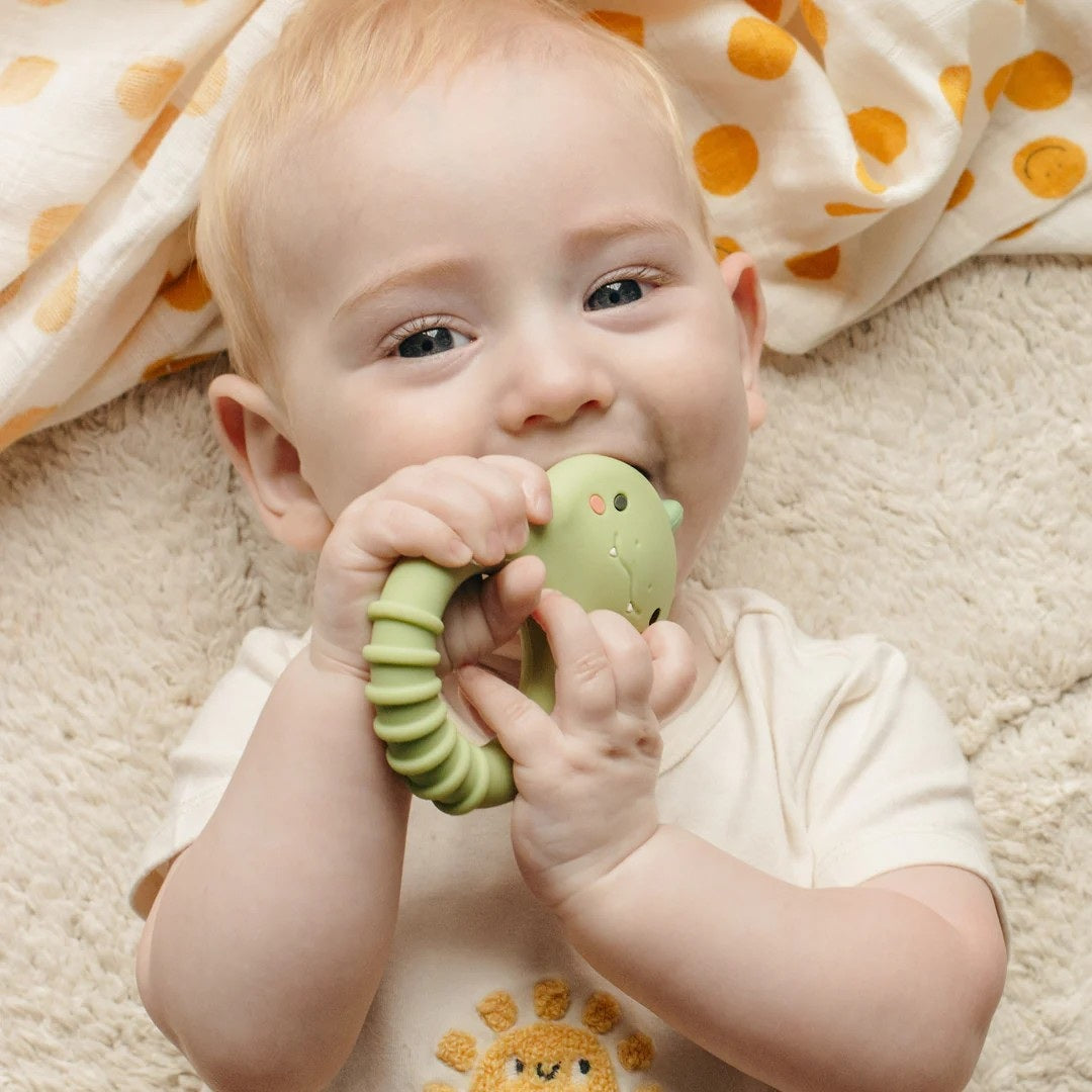 Silicone Teether (Dino)