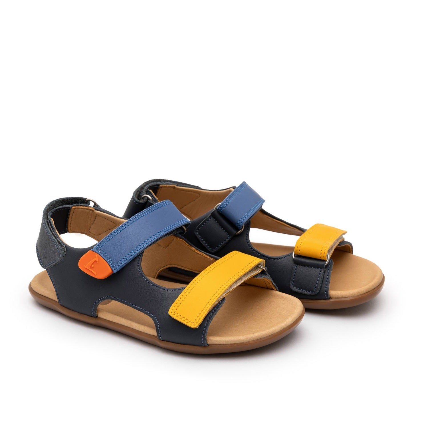 Explorer (Navy/Caja/Blue Tang)