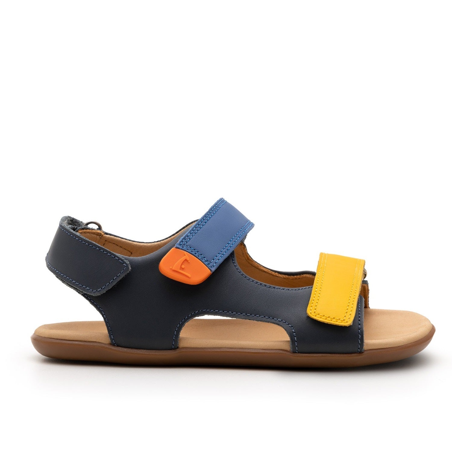 Explorer (Navy/Caja/Blue Tang)