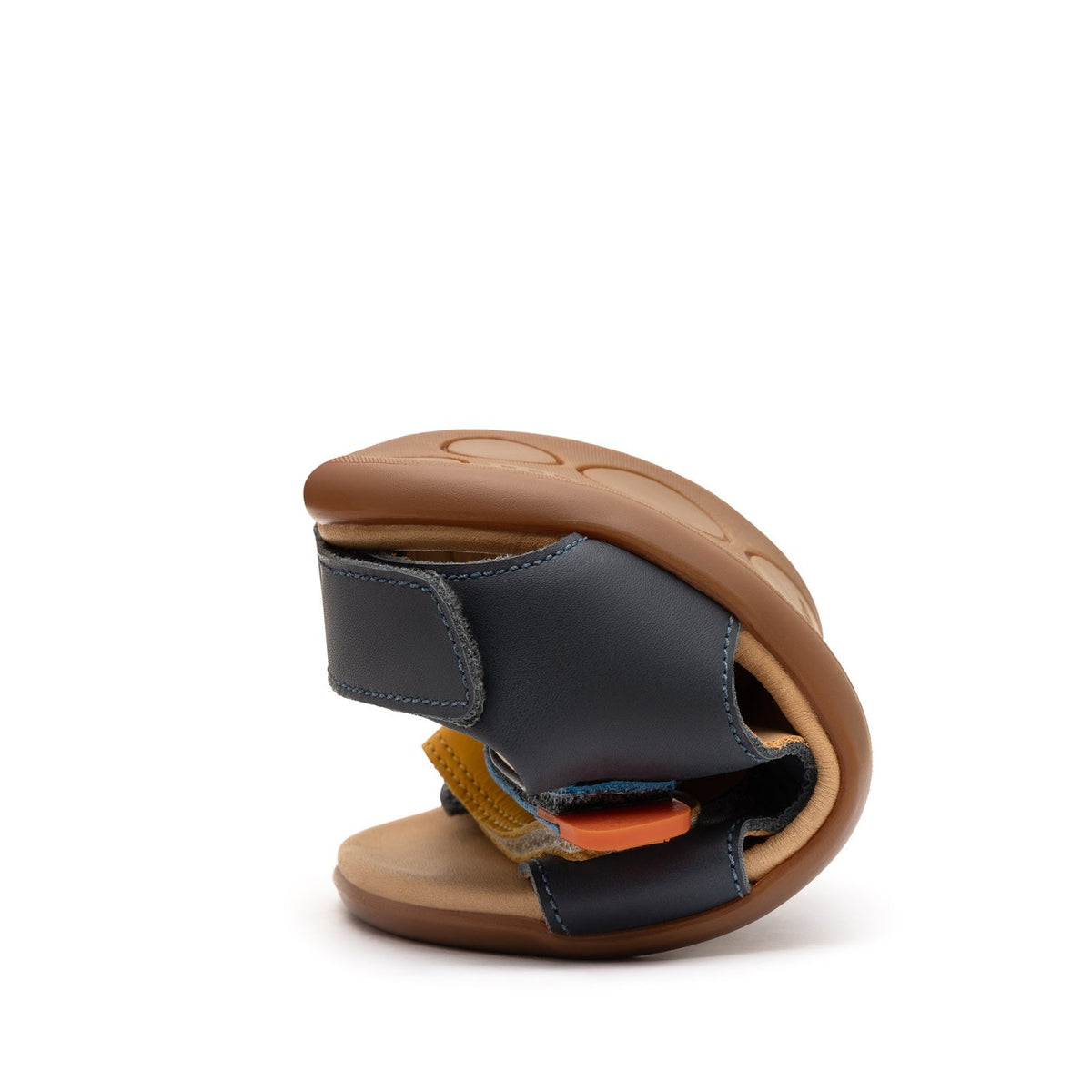 Explorer (Navy/Caja/Blue Tang)