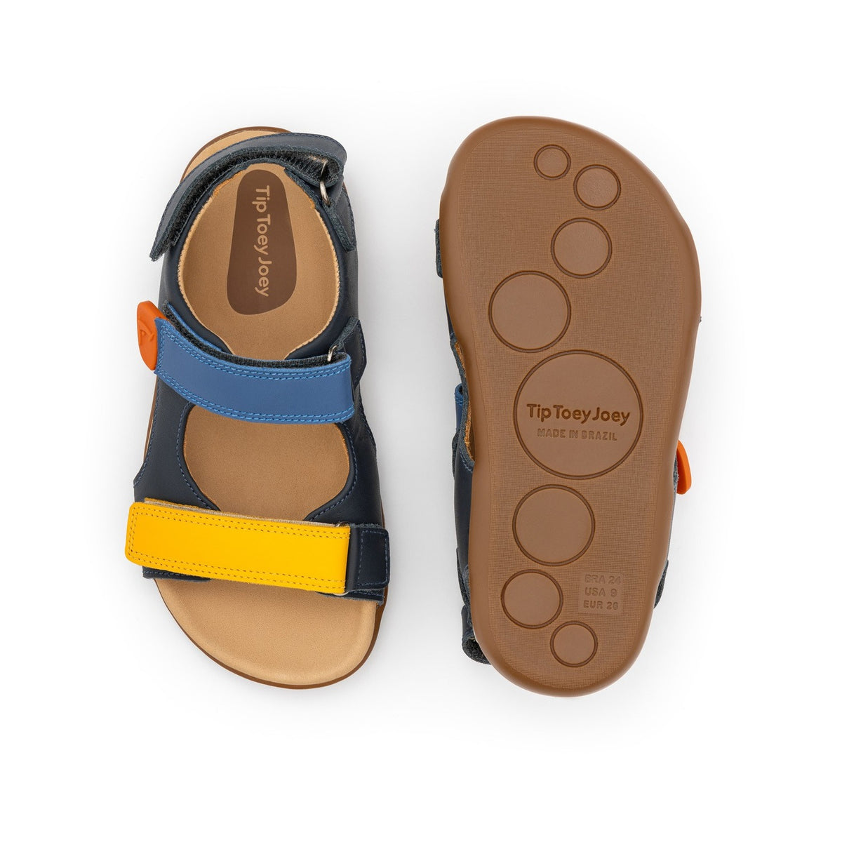 Explorer (Navy/Caja/Blue Tang)