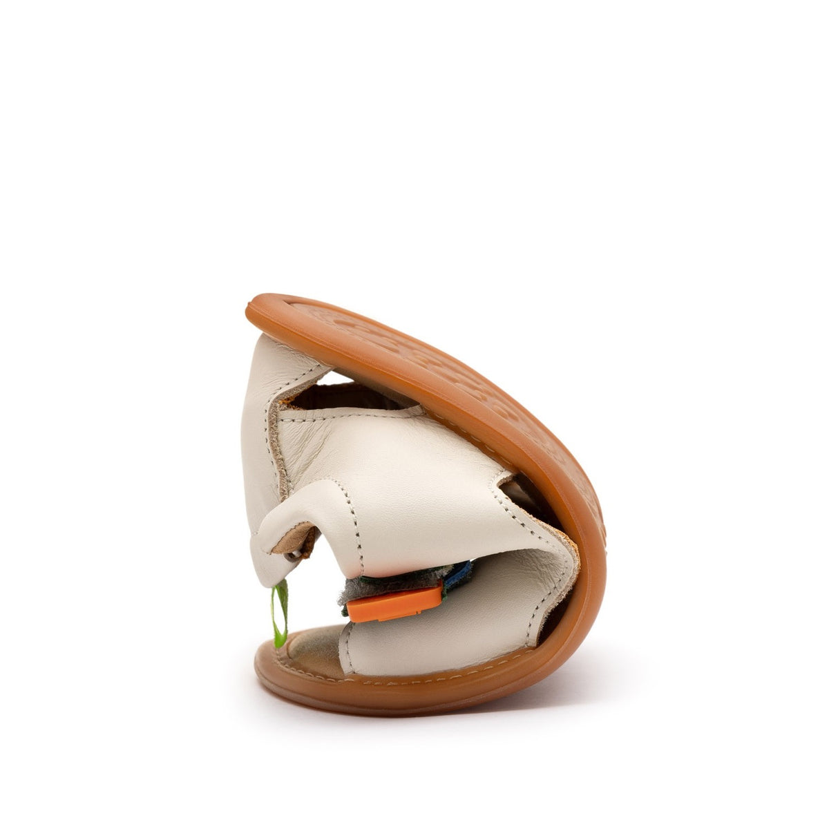 Explore (Tapioca/Blue Tang/Salsa)