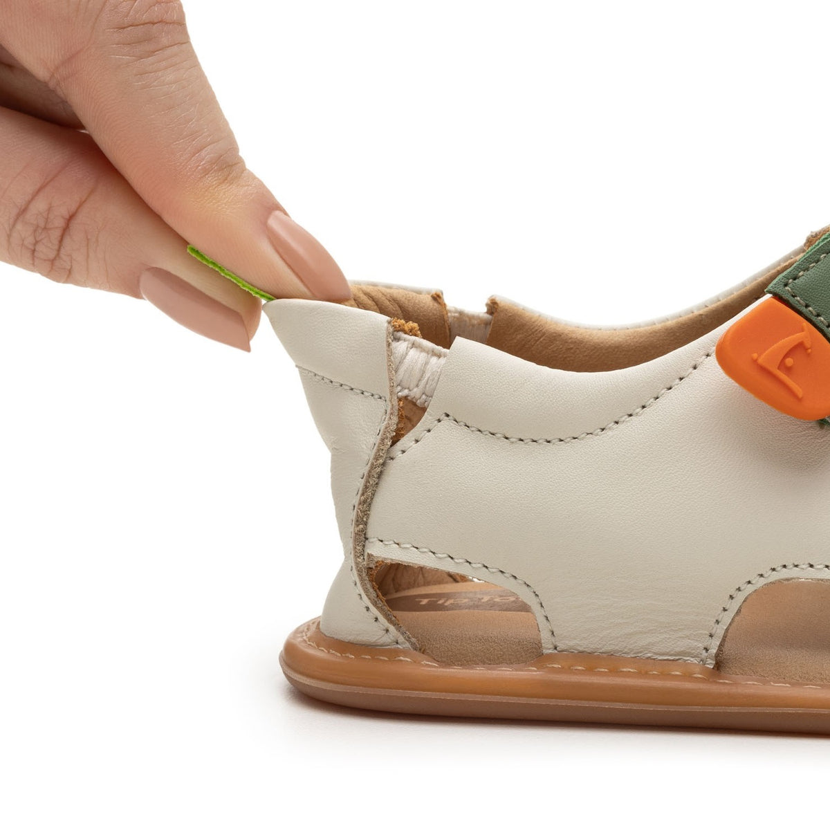 Explore (Tapioca/Blue Tang/Salsa)