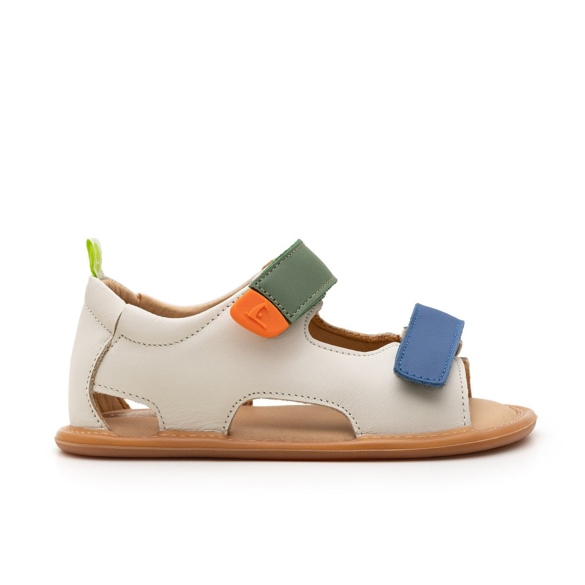 Explore (Tapioca/Blue Tang/Salsa)