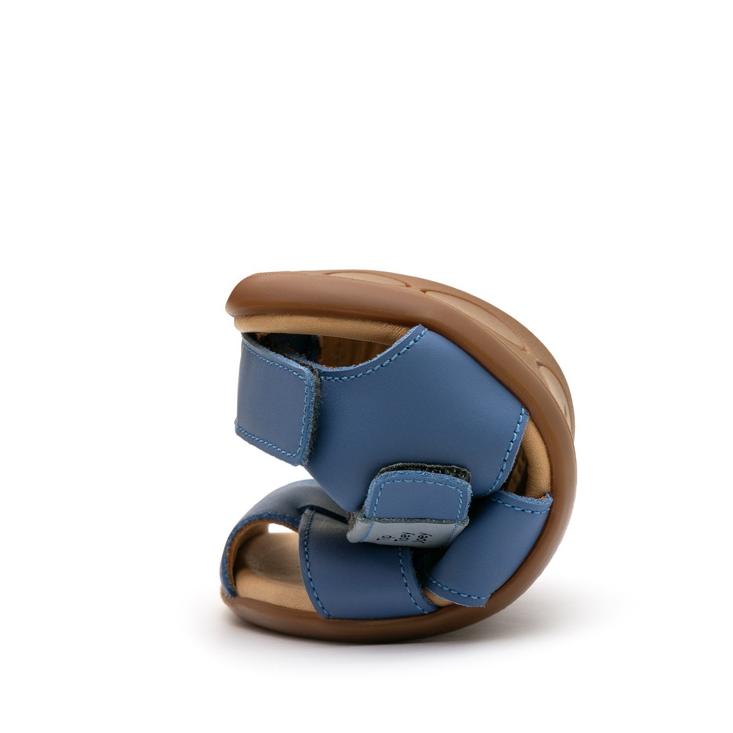 Sand (Blue Tang)