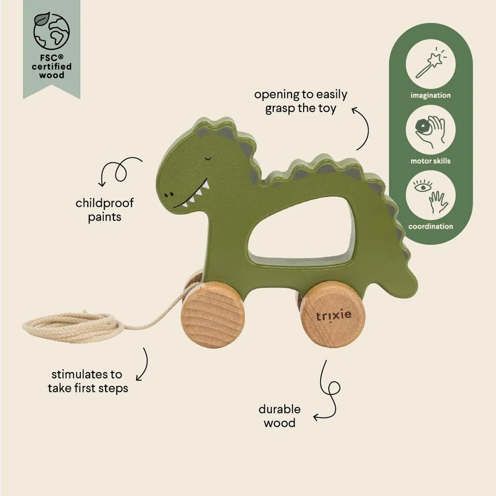 Wooden Pull Along Toy - Mr Shark