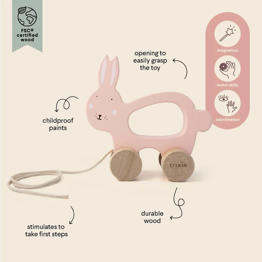 Wooden Pull Along Toy - Mrs Cat
