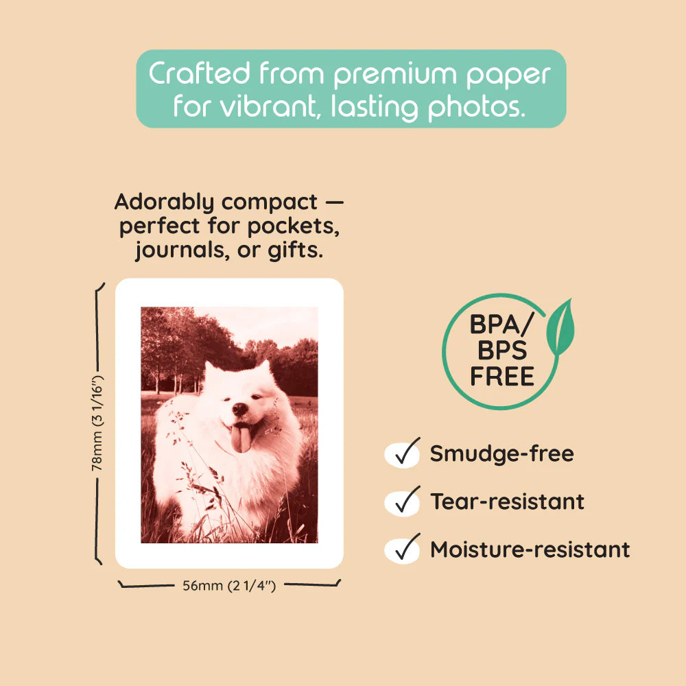 Print Pack 40 Prints (Model P2)