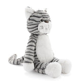 Chloe the Cat