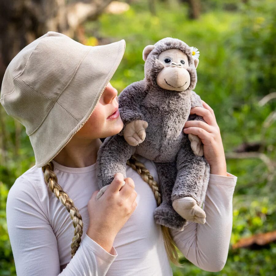 Maisie the Monkey