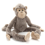 Mani the Monkey