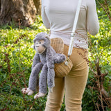 Mani the Monkey