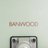 Banwood Skateboard (Mint)