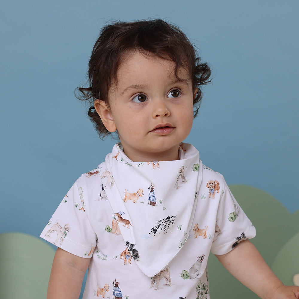 Dog Park Dribble Bib