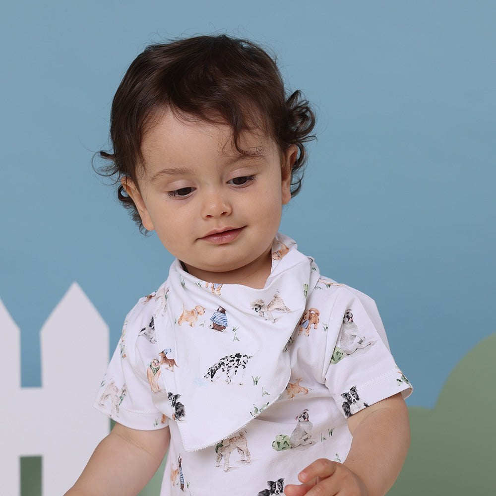 Dog Park Dribble Bib