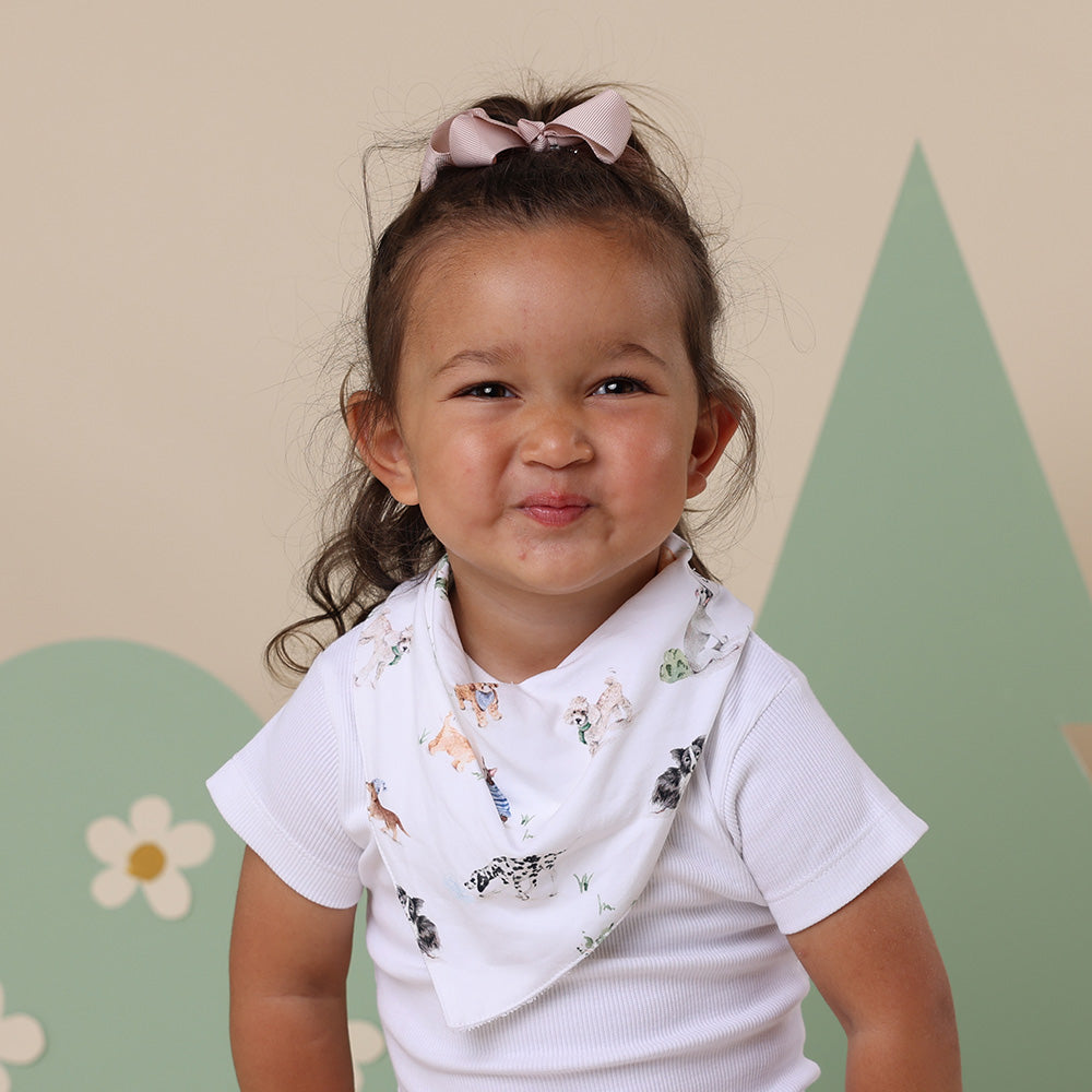 Dog Park Dribble Bib