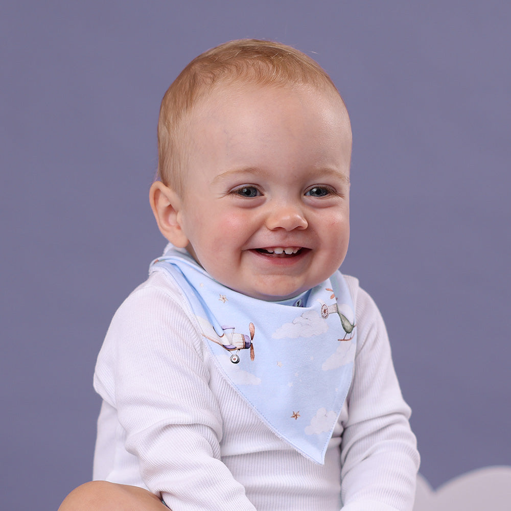 Taking Flight Dribble Bib