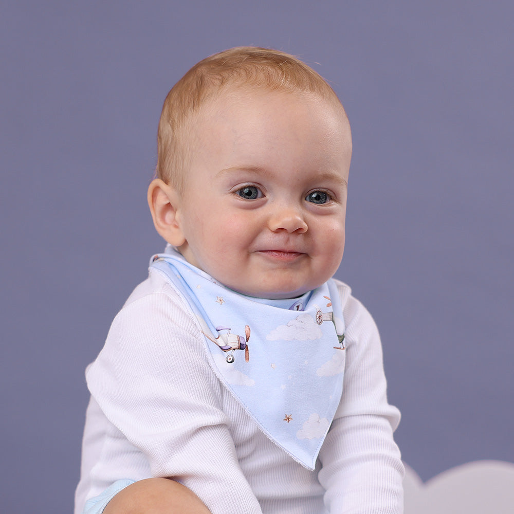 Taking Flight Dribble Bib