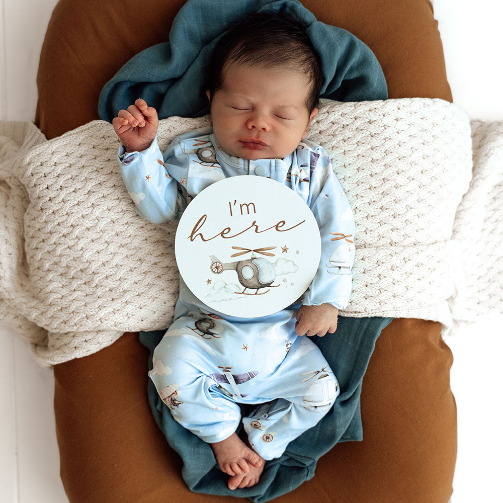 Taking Flight & Pebble Reversible Milestone Cards