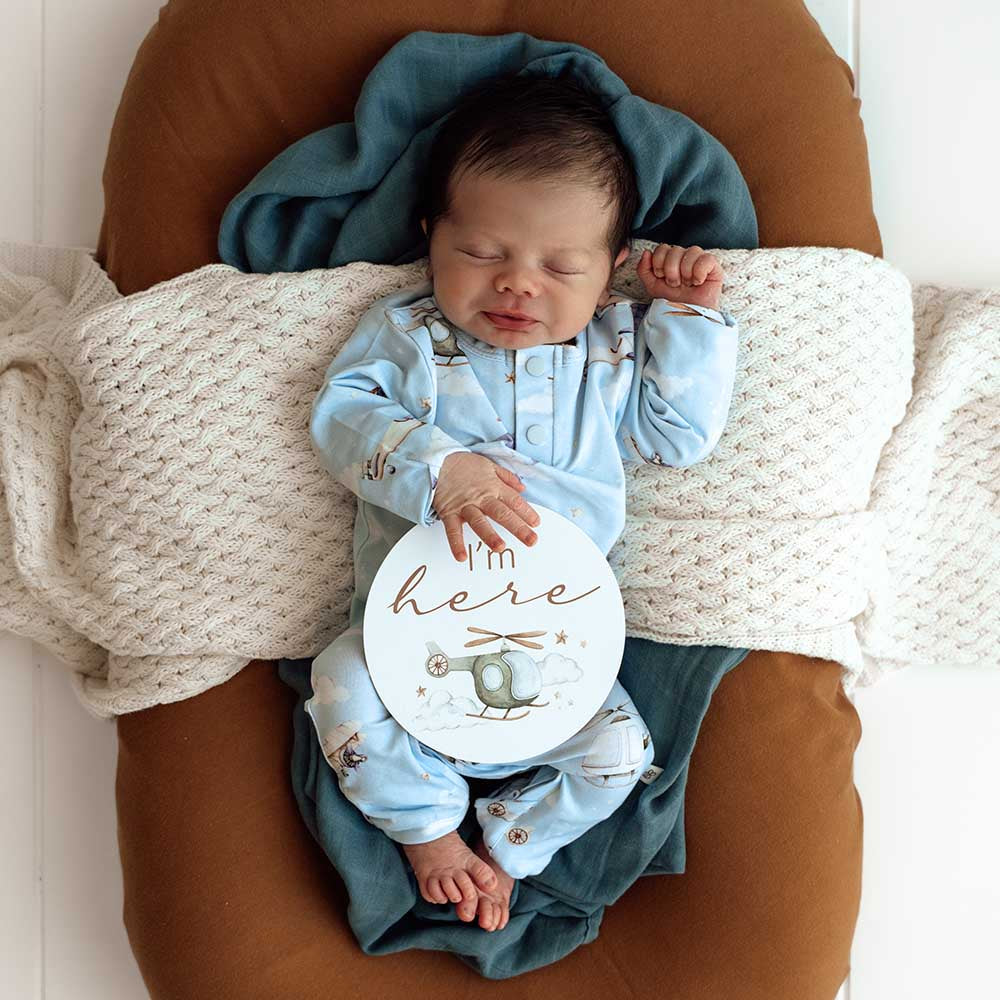 Taking Flight & Pebble Reversible Milestone Cards