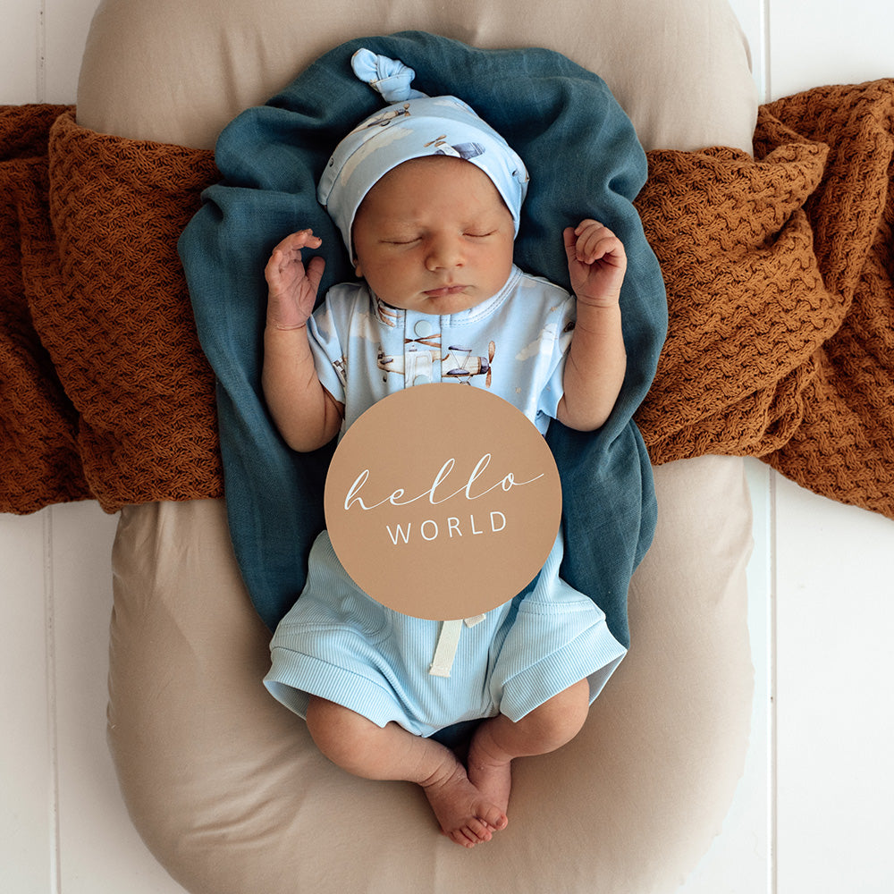 Taking Flight & Pebble Reversible Milestone Cards