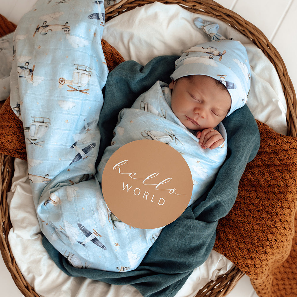 Taking Flight & Pebble Reversible Milestone Cards